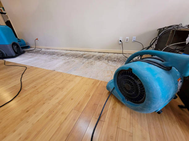 Professional Sewage Cleanup technician working in Westbury, NY
